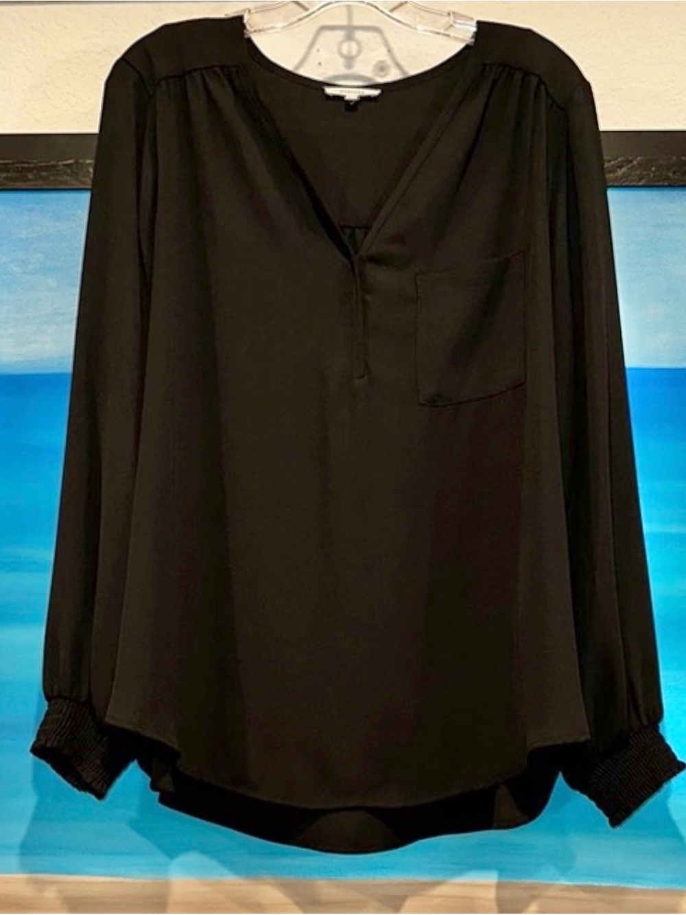 Elegant Black Pleione Women's Top
